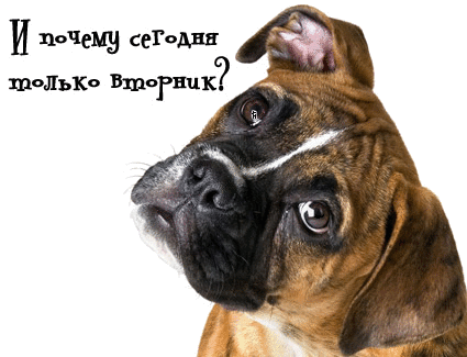 Позитивные открытки на вторник. Картинки про вторник скачать бесплатно.