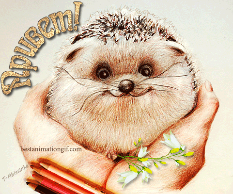 Красивые анимационные открытки с различными приветствиями скачать бесплатно.