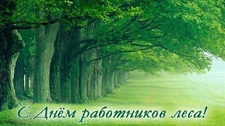 Открытки с днём работника леса с поздравлениями. Красивые открытки на день ле...