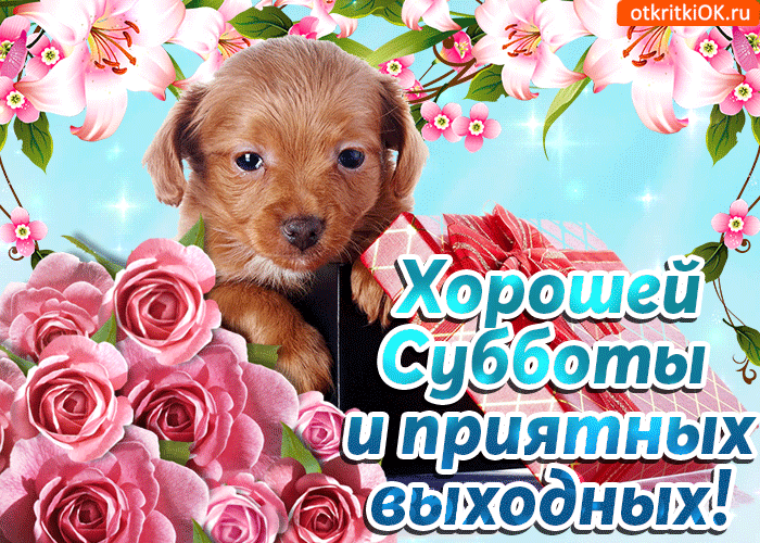 зависит открытки суббота отдыхаем всего