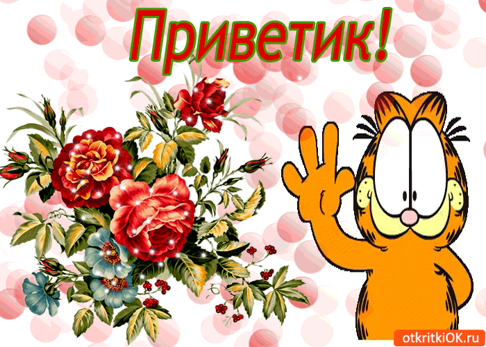 Красивые анимационные открытки с различными приветствиями скачать бесплатно.