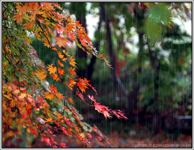 Оригинальные открытки с изображением осени. Открытки осень скачать бесплатно.