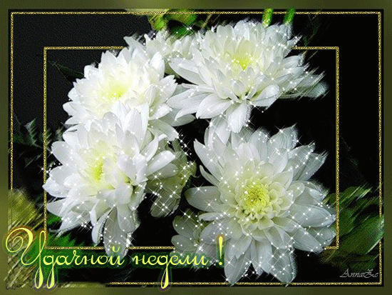 Забавные открытки с пожеланиями удачной недели. Открытки удачной недели скача...