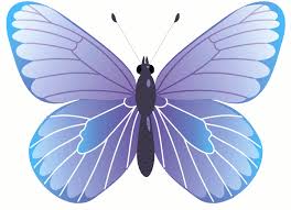 Мерцающие открытки с бабочками. Открытки с красивыми бабочками скачать беспла...