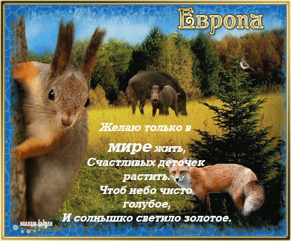 Мотивационные открытки на Международный День Мира скачать бесплатно. 