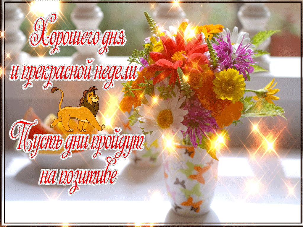 Забавные открытки с пожеланиями удачной недели. Открытки удачной недели скача...