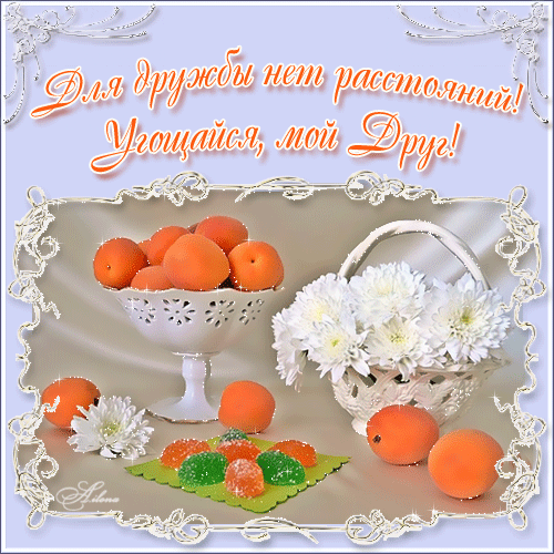 Красивые открытки для любимых друзей. Открытки о дружбе скачать бесплатно.