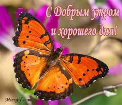 Мерцающие открытки с бабочками. Открытки с красивыми бабочками скачать беспла...