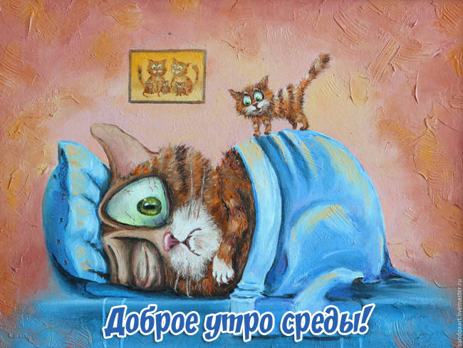 Открытки с пожеланиями отличной среды. Красивые открытки на среду.