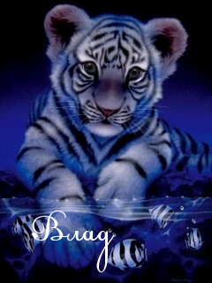 Поздравительные открытки с мужскими именами. Открытки с именем Владислав скач...