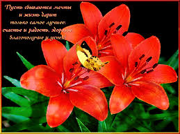 Открытки с пожеланиями исполнения желаний. Открытки пусть сбудутся мечты.