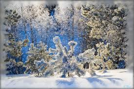 Анимационные открытки с зимним пейзажем. Открытки времена года. Новогодние от...