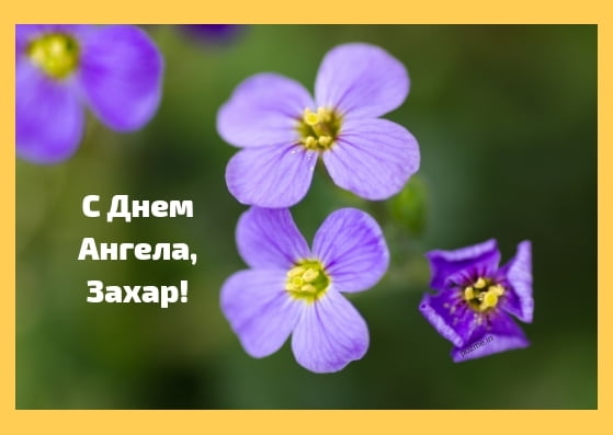 Открытки с днём рождения Захар. Открытки с именем Захар gif. Открытки с мужск...