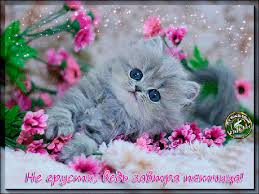 Мерцающие открытки с пожеланиями не грустить. Открытки не грусти скачать бесплатно.