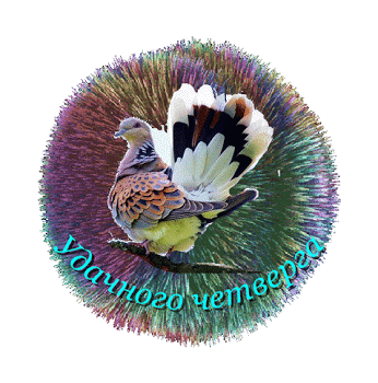 Анимационные открытки доброго утра и отличного четверга скачать бесплатно.