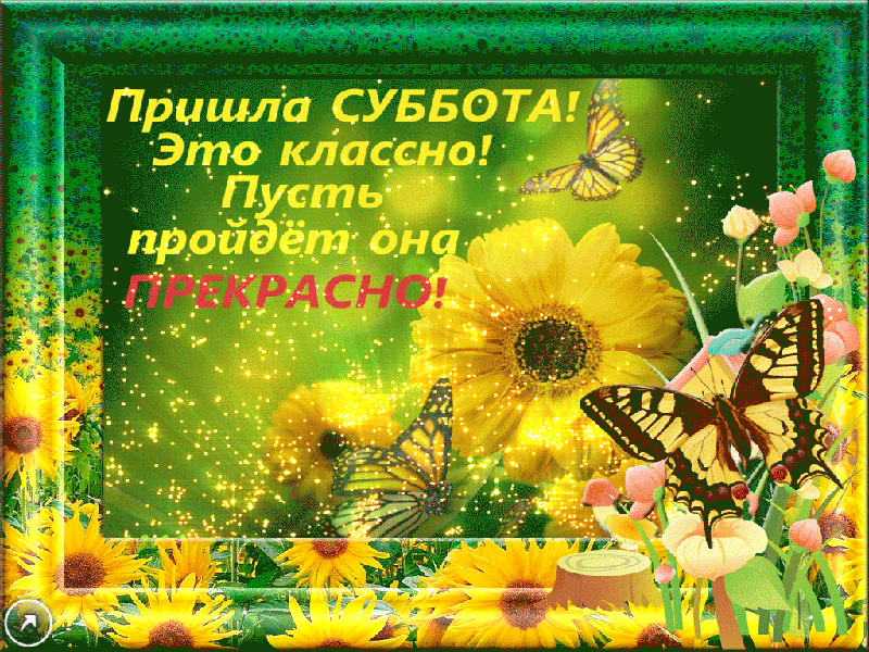 Интересные открытки на субботу. Веселые открытки на выходные.