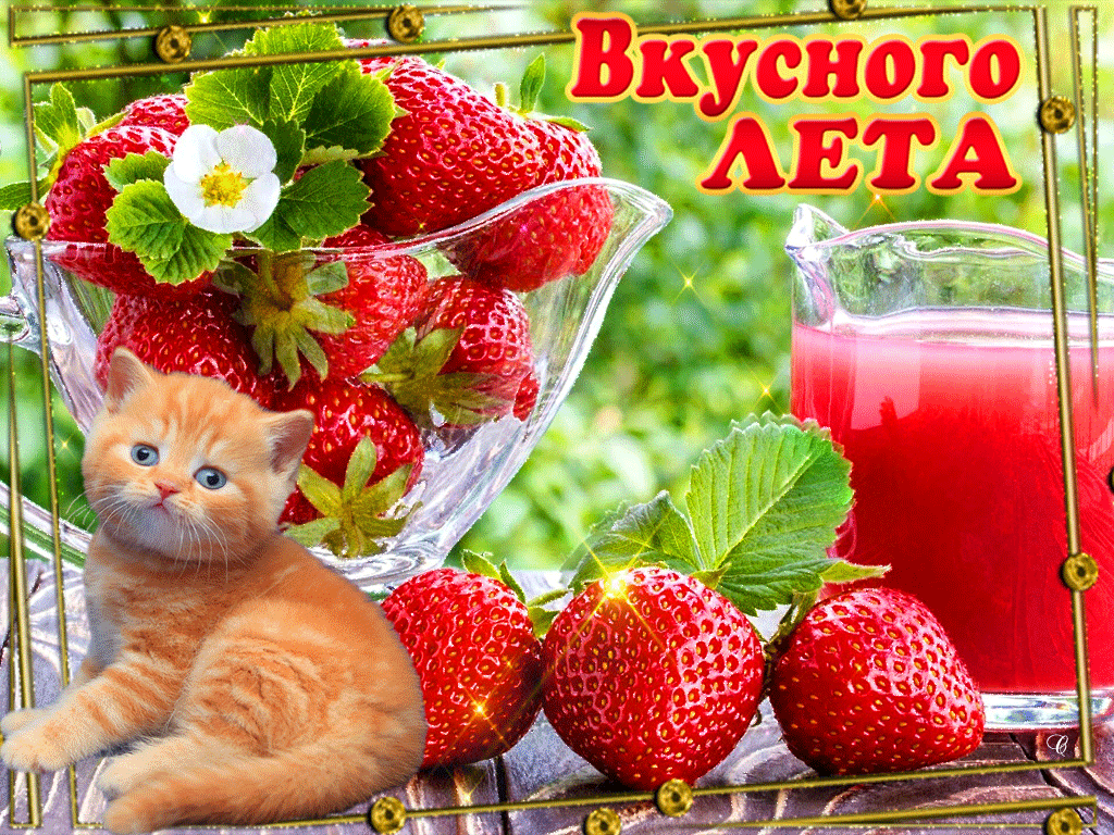 Открытки на тему лета скачать бесплатно. Анимационные открытки про лето.