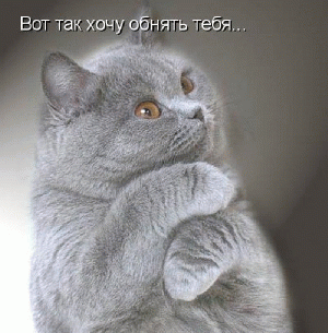 Открытки хочу тебя обнять. Открытки крепко обнимаю скачать бесплатно.