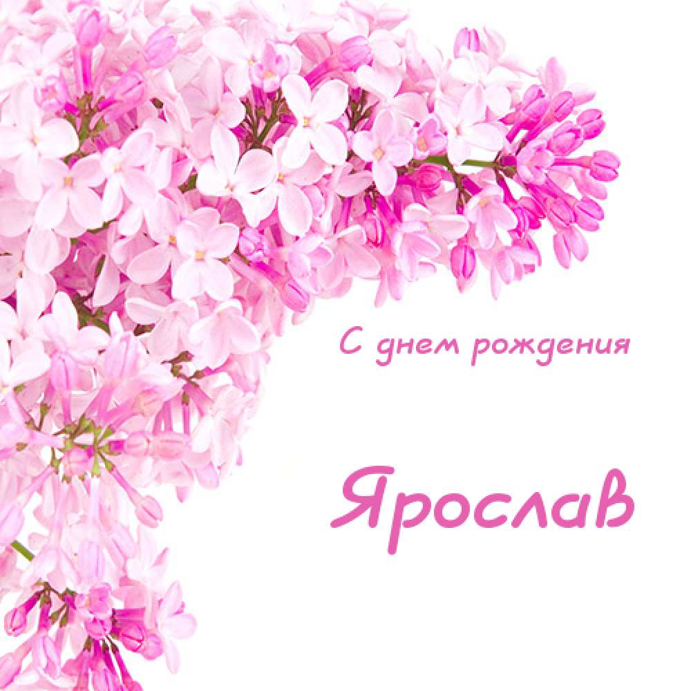 С днём рождения Ярослав открытки. Открытки с именем Ярик. Поздравительные отк...