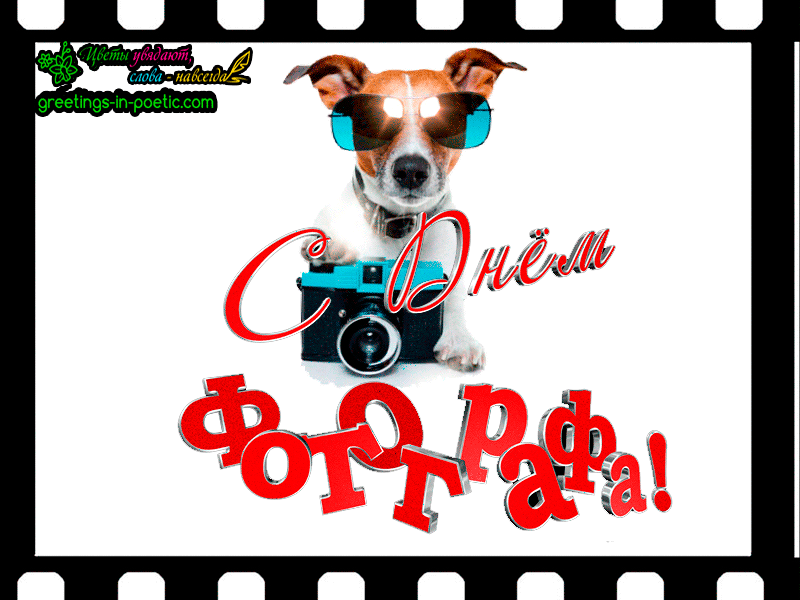 Поздравительные открытки с днем фотографа скачать бесплатно.