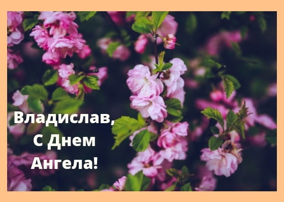 Поздравительные открытки с мужскими именами. Открытки с именем Владислав скач...
