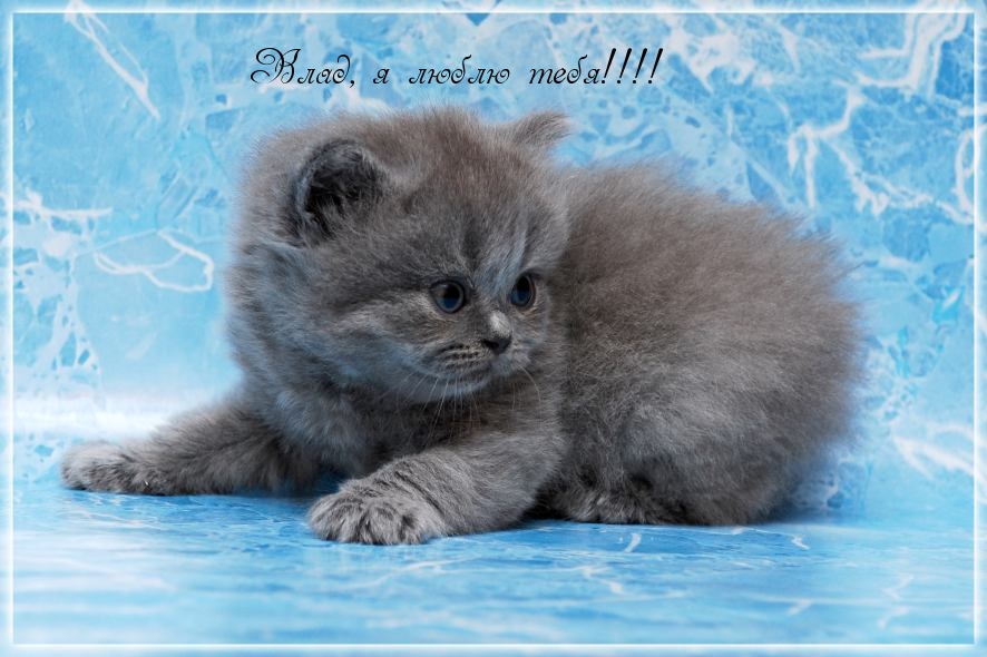 Поздравительные открытки с мужскими именами. Открытки с именем Владислав скач...