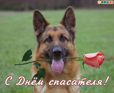 Поздравительные открытки с пожеланиями на день спасателя скачать бесплатно.