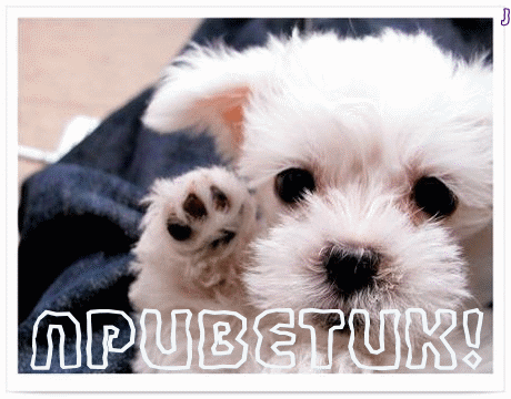 Красивые анимационные открытки с различными приветствиями скачать бесплатно.