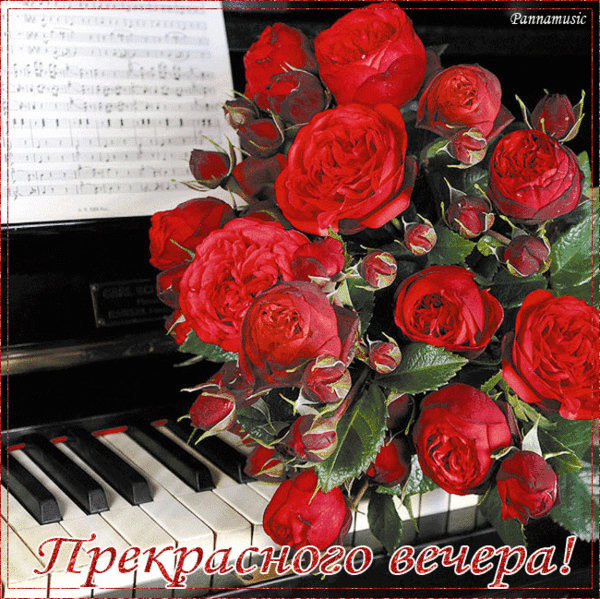 Анимационные открытки приятного вечера. Скачать бесплатно открытки хорошего в...