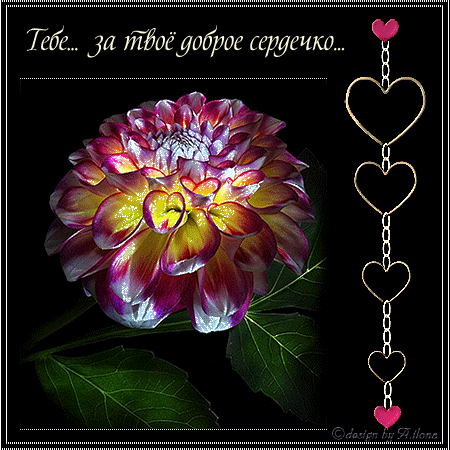 Красивые открытки для тебя скачать бесплатно. Анимационные открытки тебе gif