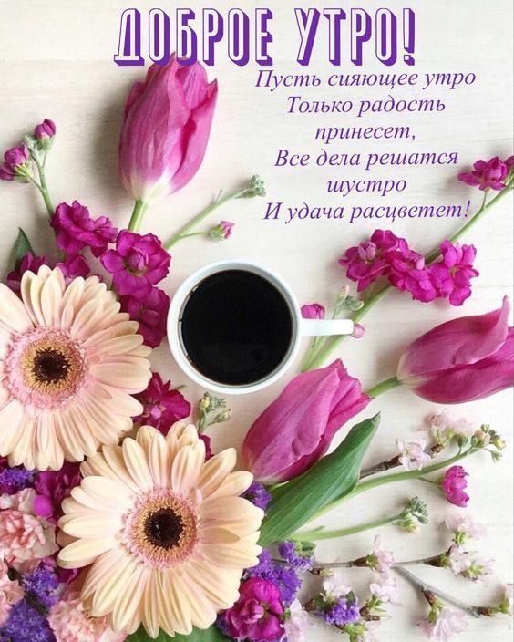 Открытка с пожеланиями доброго утра на каждый день скачать бесплатно 