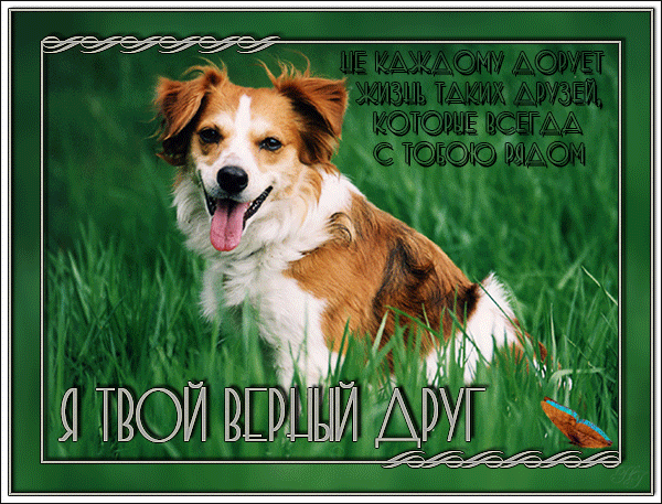 Открытки я всегда буду рядом. Открытки я рядом с тобой скачать бесплатно.