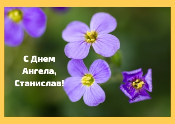 С днём рождения Станислав открытки. Открытки с именем Стас скачать бесплатно.