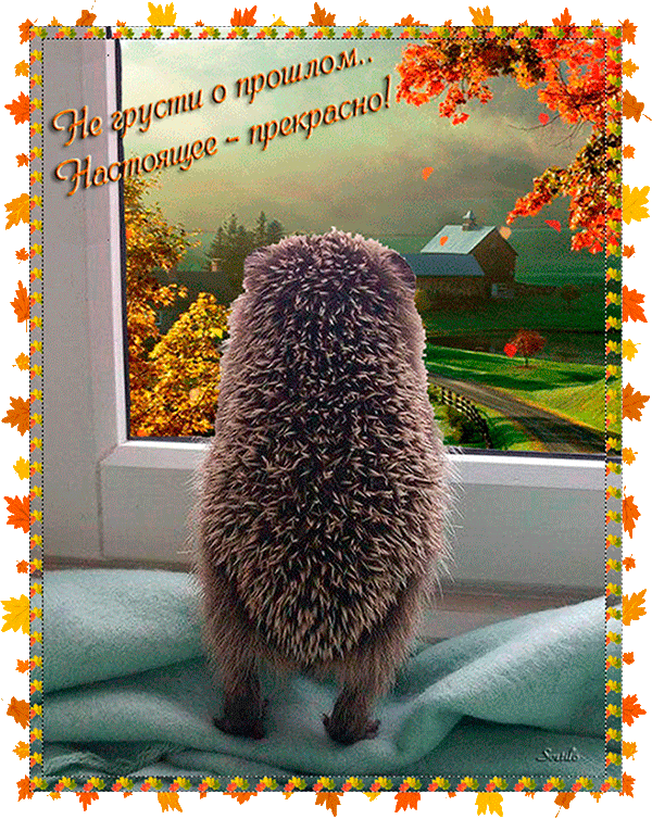 Мерцающие открытки с пожеланиями не грустить. Открытки не грусти скачать бесплатно.