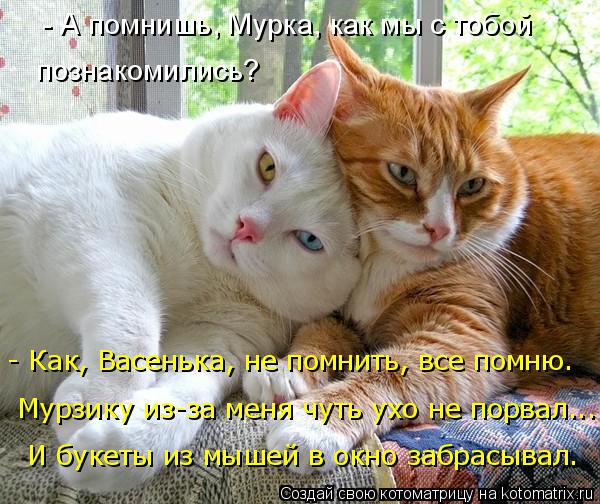 Открытки я всегда буду рядом. Открытки Открытки я рядом с тобой скачать беспл...