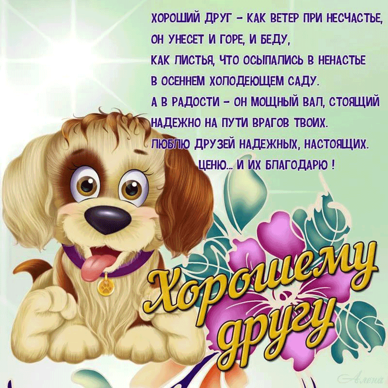 Красивые открытки для любимых друзей. Открытки о дружбе скачать бесплатно.