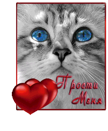 Красивые открытки с извинениями скачать бесплатно. Открытки прости меня gif.