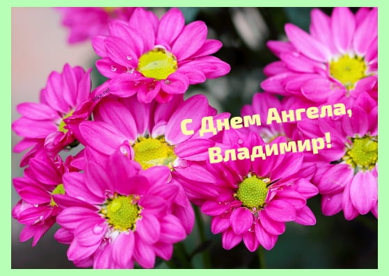 Открытки с именем Владимир скачать бесплатно. Открытки с мужскими именами онл...