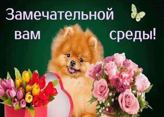 Открытки с пожеланиями отличной среды. Красивые открытки на среду.