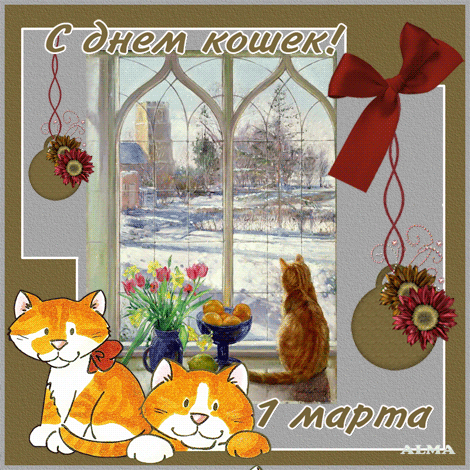 Скачать бесплатно прикольные открытки с днем кошек. Открытки с днем кошек gif.