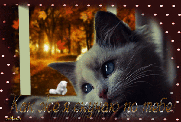 Анимационные открытки скучаю по тебе. Открытки я так скучаю скачать бесплатно.