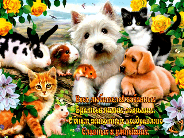 Открытки с днём защиты животных скачать бесплатно. Открытки с днём защиты жив...