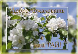 Анимационные изображения добро пожаловать скачать бесплатно.