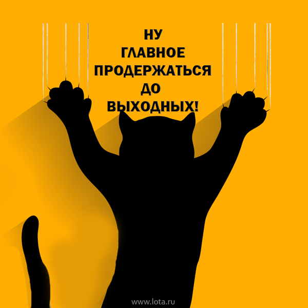 Забавные открытки с пожеланиями удачной недели. Открытки удачной недели скача...