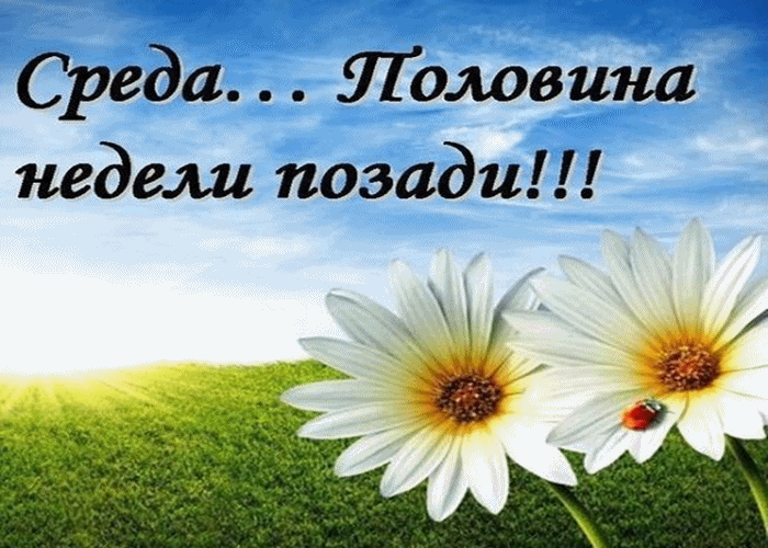 Открытки с пожеланиями отличной среды. Красивые открытки на среду.