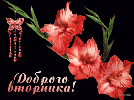 Позитивные открытки на вторник. Картинки про вторник скачать бесплатно.