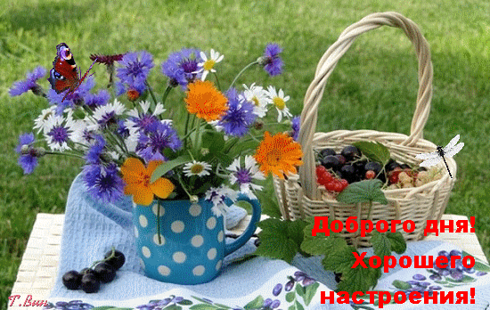 Позитивные открытки с пожеланиями хорошего настроения скачать бесплатно.