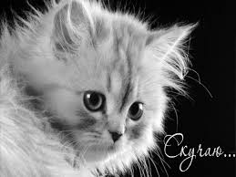 Анимационные открытки скучаю по тебе. Открытки я так скучаю скачать бесплатно.