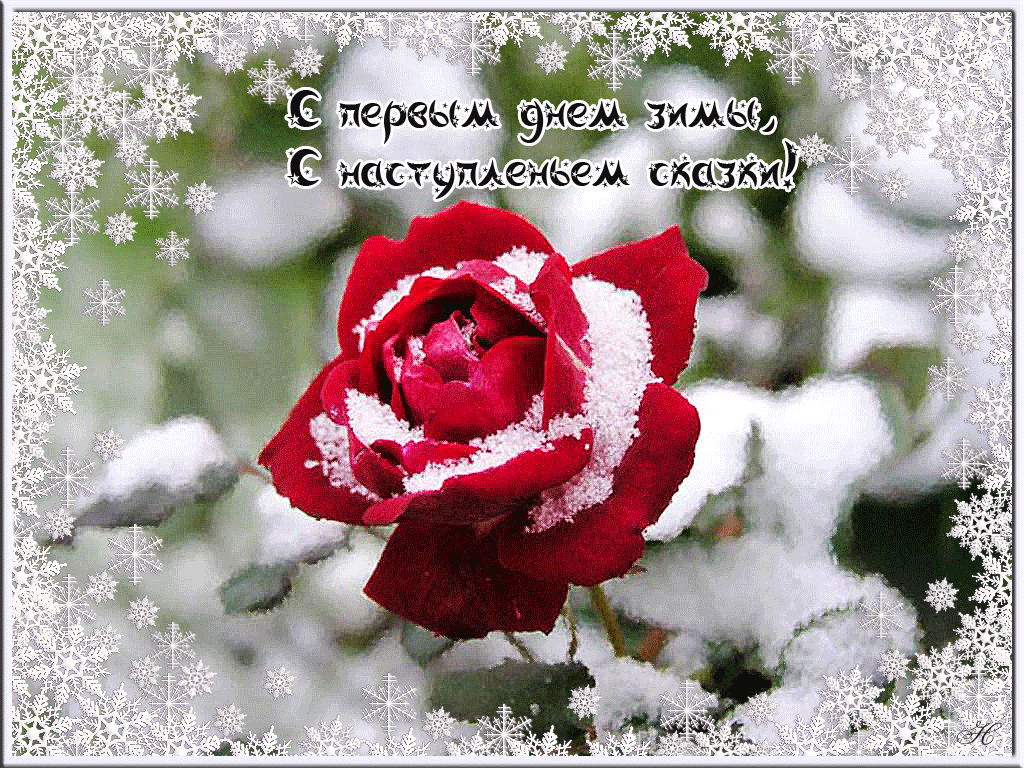Мерцающие анимационные открытки с пожеланиями на первый день зимы