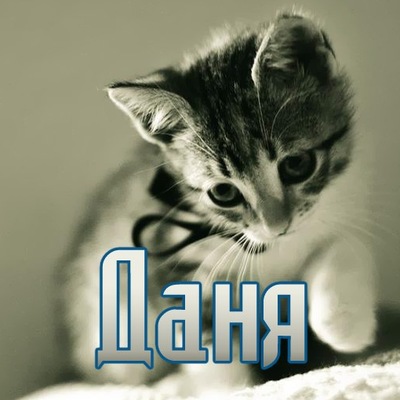 Открытки с именем Даниил gif. Открытки с именем Данил скачать бесплатно.